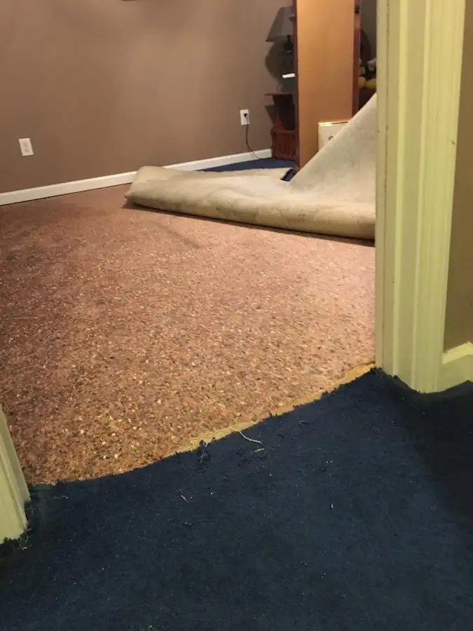 Carpet pad removal revealing water damage during Water Mitigation Services in Leisure City